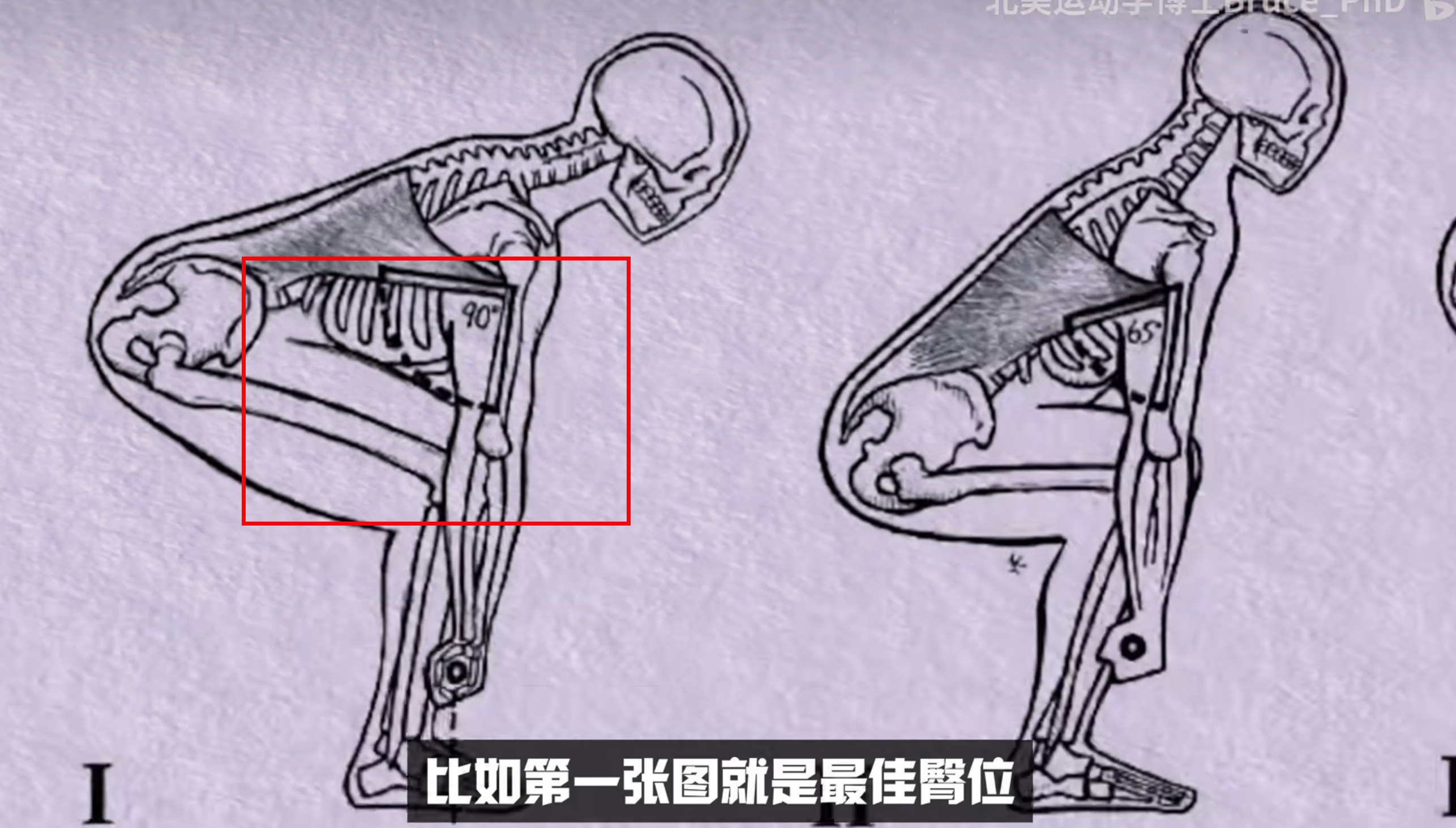 optimal_hip_position