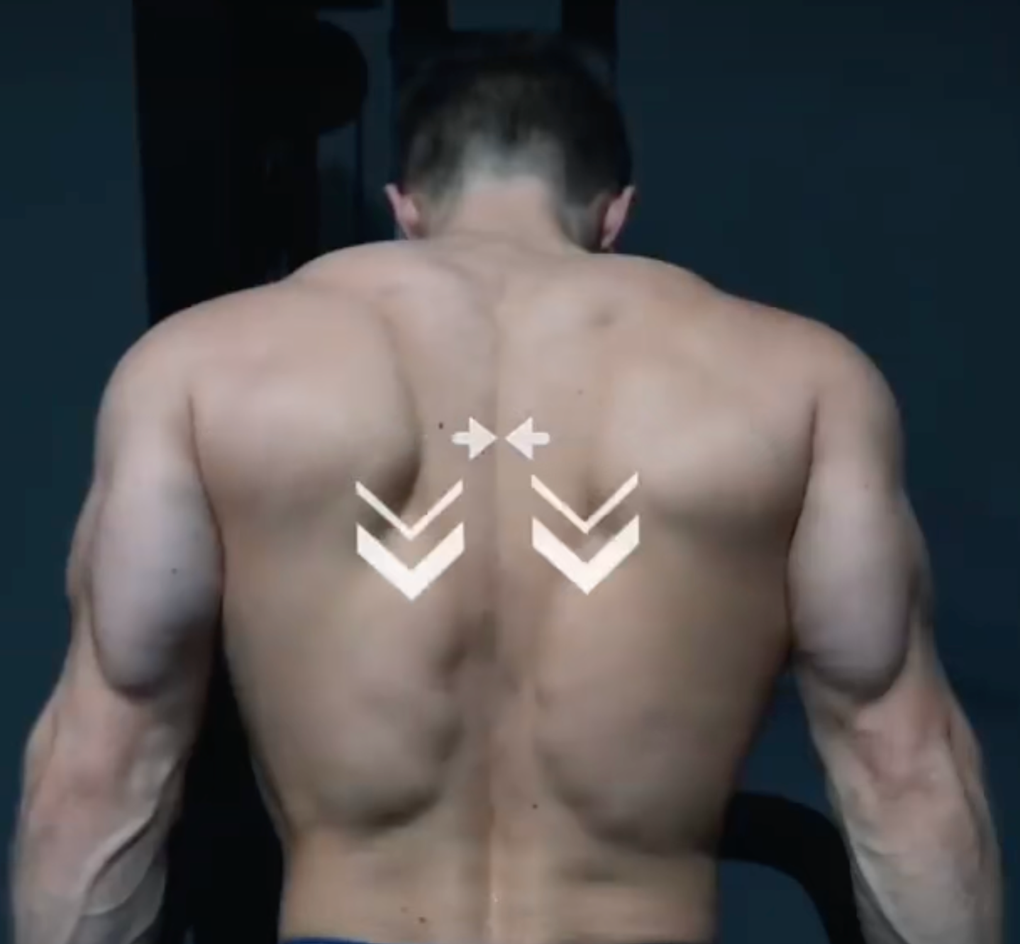 Standard Dips stabilize shoulder