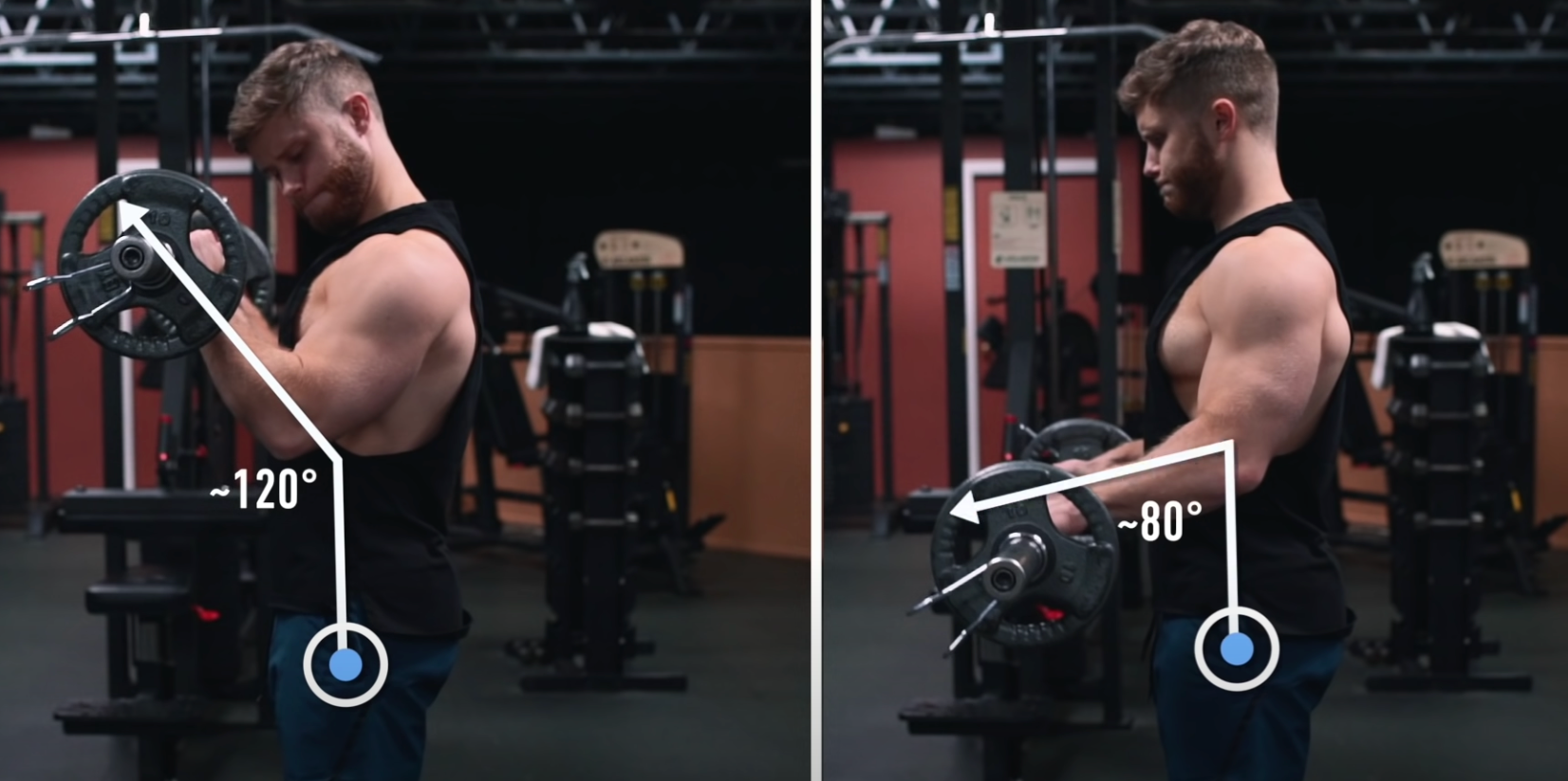 Reverse Grip Curl peak torque