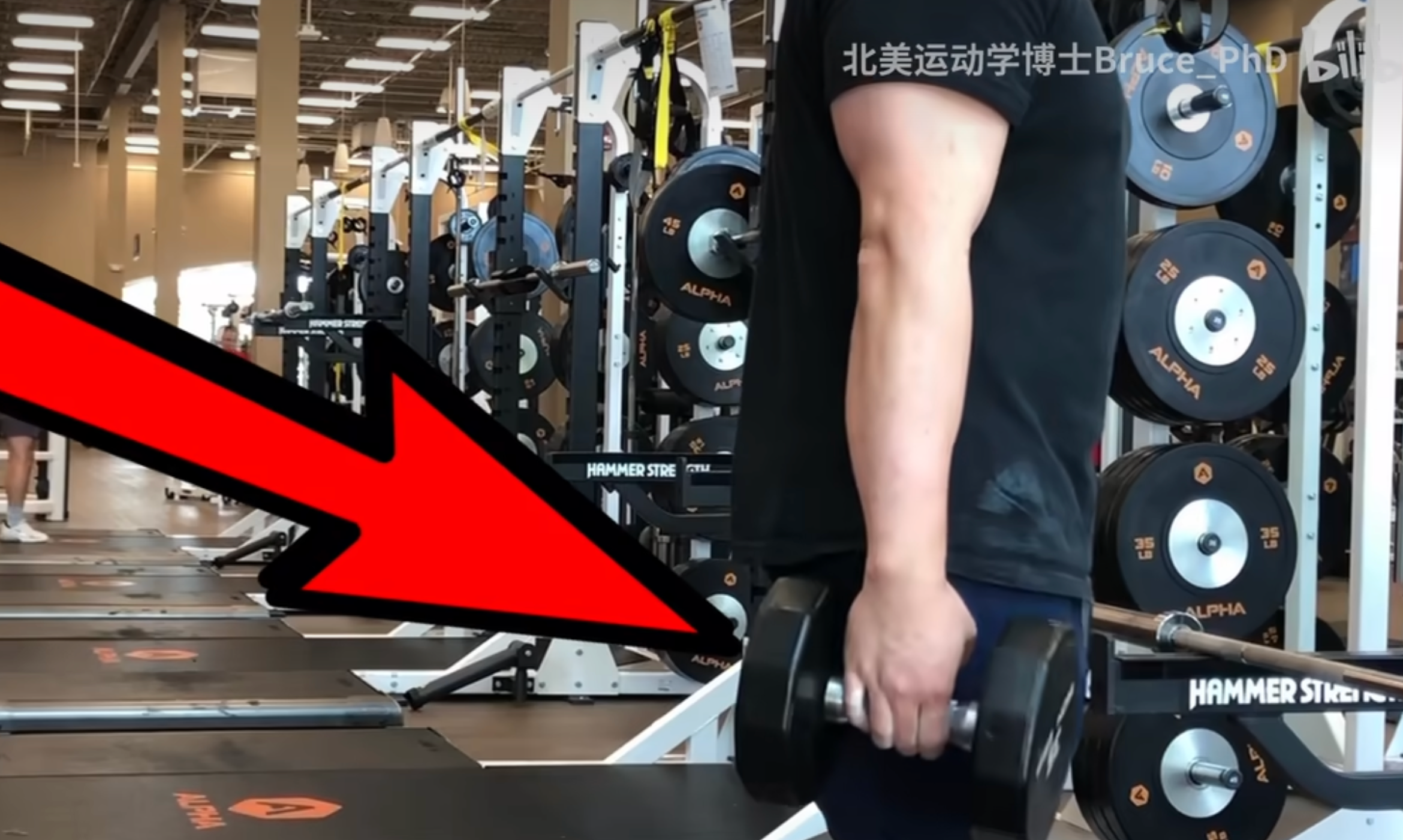 wrist curl Fig. 1