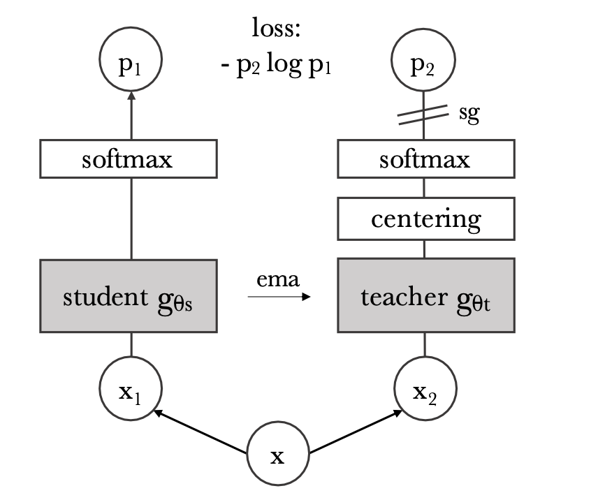 Figure 2: Self-distillation with no labels