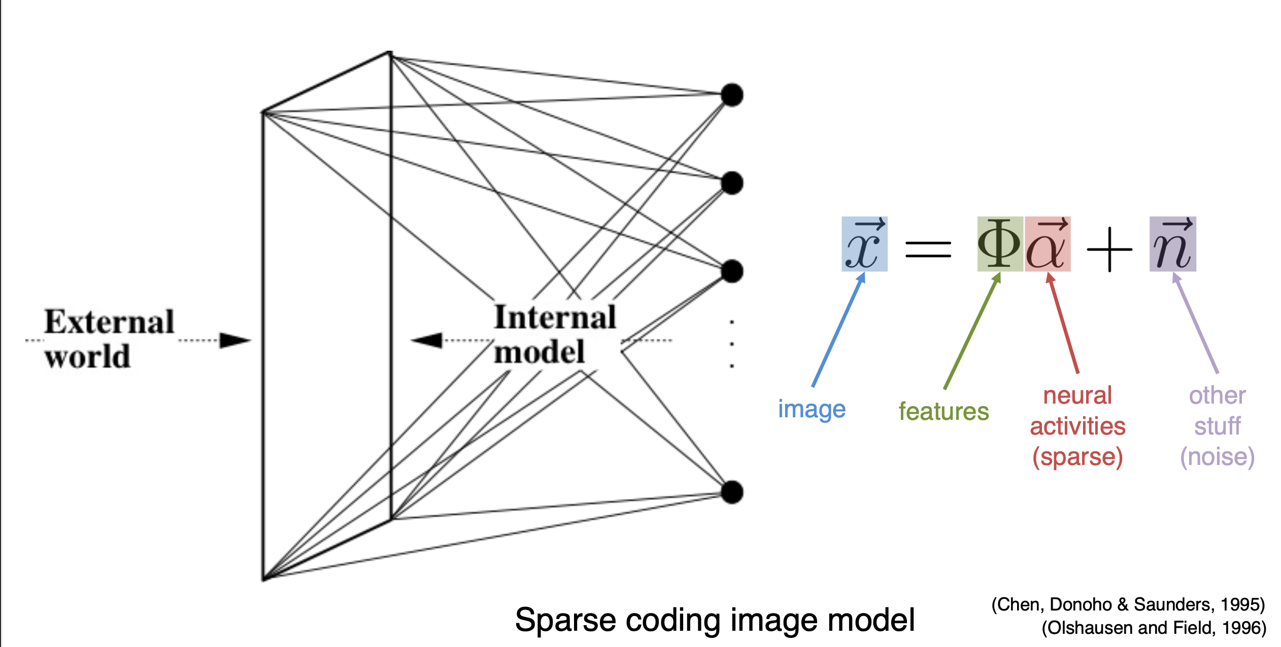 sparse coding